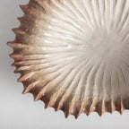 Dubuo Hidra W: 49 cm
