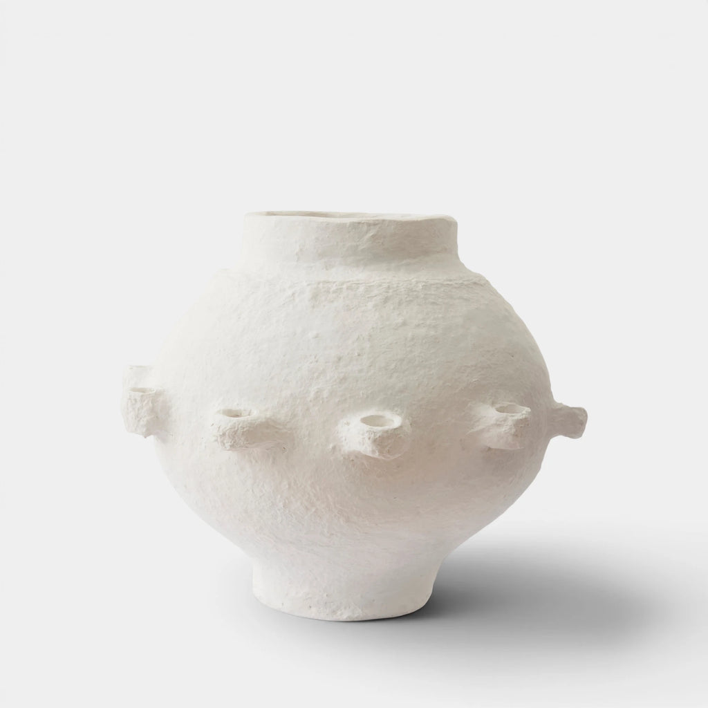 Vaza Juniper